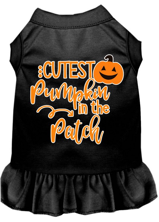 Cutest Pumpkin in the Patch Screen Print Dog Dress Black XL